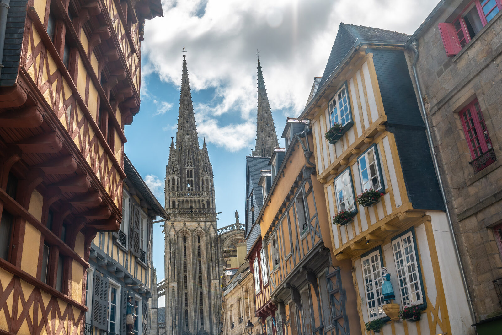 Toiture végétalisée en Bretagne : faisabilité et entretien